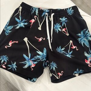 Men's Black Flamingo & Palm Print Swim Board Shorts